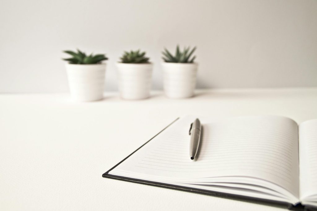 Clean and simple workspace featuring an open notebook, pen, and potted succulents.